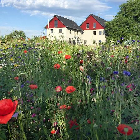 Ferienwohnung Bienenhaeusle In Gruenkraut / Ravensburg Grunkraut Eksteriør billede