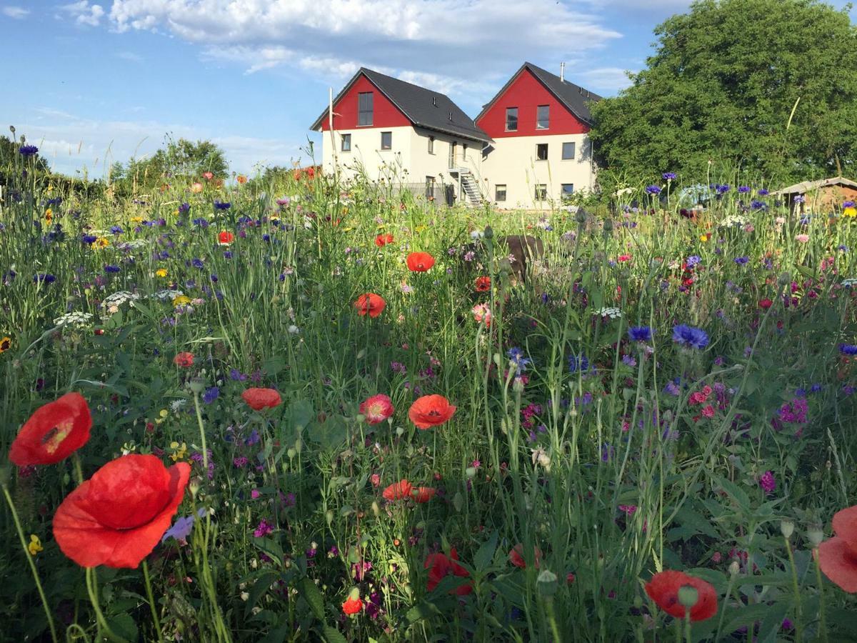Ferienwohnung Bienenhaeusle In Gruenkraut / Ravensburg Grunkraut Eksteriør billede